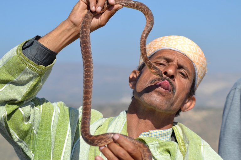 הונאות ורמאויות במרוקו וכיצד להימנע מהם